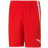 Фото #1 товара Puma team shortsLIGA M 704924 01