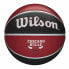 Фото #1 товара Баскетбольный мяч Wilson NBA Team Tribute Chicago Bulls Красный Один размер 7
