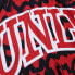 Фото #3 товара MITCHELL & NESS NCAA JUMBOTRON 2.0 SUBLIMATED SHORTS UNLV RUNNIN REBELS