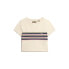 ფოტო #3 პროდუქტის SUPERDRY Vintage Stripe Crop T-shirt