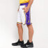 Фото #6 товара Брюки баскетбольные Nike AJ5616-100 NBA Association Edition SW