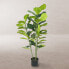 Фото #2 товара Декоративное растение Полиуретан Цемент фикус 120 cm