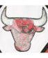 Men's Red Chicago Bulls 1997 Hardwood Classics 75th Anniversary Swingman Shorts