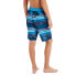 PROTEST Jason Swimming Shorts