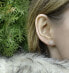 Playful silver earrings AGUP2750 Snowflake