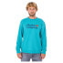 Фото #1 товара HURLEY Ponzo Canyon Summer sweatshirt