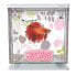 ფოტო #2 პროდუქტის MARINA Betta Floral aquarium kit