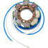 Фото #2 товара RICKs MOTORSPORT ELECTRIC OEM Kawasaki 21-719 Stator