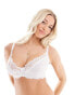 Фото #8 товара Ivory Rose fuller bust lace underwired plunge bra in white
