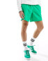 The North Face Class V Pathfinder logo shorts in green