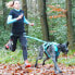 Фото #9 товара I-DOG Canicross Opale Small Dog Leash