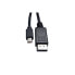 Фото #5 товара V7 Black Video Cable Mini DisplayPort Male to DisplayPort Male 1m 3.3ft - 1 m - Mini DisplayPort - DisplayPort - Male - Male - Black