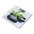 Фото #1 товара Цифровые весы для ванной TM Electron Zen Серый Slim (23 mm)