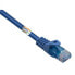 Фото #1 товара basetech BT-2270726 - 0.5 m - Cat5e - U/UTP (UTP) - RJ-45 - RJ-45