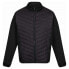 Фото #3 товара REGATTA Shrigley III 3in1 detachable jacket