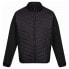 REGATTA Shrigley III 3in1 detachable jacket