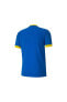 Фото #2 товара Teamgoal 23 Jersey Electric Blue Lemonad Erkek Futbol Forması 70417116 Mavi