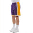 Шорты баскетбольные Mitchell&Ness NBA SW 84-85, workout L - фото #5