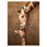 Фото #1 товара Пазл с изображением поцелуя жирафа-матери EUROGRAPHICS Puzzle XXL 500 элементов