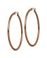 ფოტო #3 პროდუქტის Stainless Steel Polished Brown plated Hoop Earrings