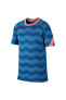 Фото #7 товара Спортивная футболка Nike Dry Academy Pro детская синяя Cd1070-446