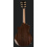 Фото #3 товара Taylor 914ce Special Edition Sinker R