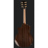 Taylor 914ce Special Edition Sinker R