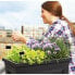 Фото #2 товара Ящик для цветов EDA Planting support stick Vegetables Seed tray Grey 73 x 38,5 x 68 cm