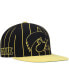 ფოტო #2 პროდუქტის Men's Black Iowa Hawkeyes Team Pinstripe Snapback Hat