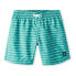 Фото #1 товара O´NEILL All Year 14´´ Swimming Shorts