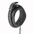 Blaze - Collar Leash Diamond