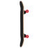 PLAYLIFE Hotrod 8.0´´ Skateboard