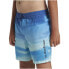 Фото #6 товара QUIKSILVER Fade Vly 14´´ Swimming Shorts