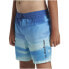 QUIKSILVER Fade Vly 14´´ Swimming Shorts