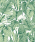 Tropical Peel and Stick Wallpaper