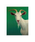 Фото #1 товара James W. Johnson 'Portrait Of A Goat' Canvas Art - 18" x 24"