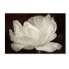 Фото #1 товара Cora Niele 'White Tulip III' Canvas Art, 30" x 47"