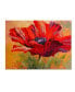 Фото #1 товара Живопись на холсте Trademark Global Marion Rose 'Мак красный II' - 35" x 47"
