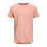 ფოტო #2 პროდუქტის JACK & JONES Curved short sleeve T-shirt