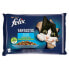 Фото #2 товара PURINA NESTLE Fantastic Country Flavors Jelly Salmon Trout With Vegetables 85g Wet Cat Food 4 Units