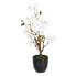 Фото #1 товара Декоративное растение полиэстер полиэтилен Железо 30 x 30 x 60 cm Magnolia