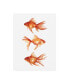 Emma Scarvey Ornamental Goldfish III Canvas Art - 19.5" x 26"