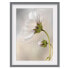 Фото #1 товара Bild Himmlischer Blütentraum III