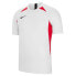 NIKE Dri Fit Striker V short sleeve T-shirt