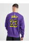 Фото #4 товара Los Angeles Lakers Erkek Mor Basketbol Sweatshirt DN4718-508
