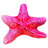 Фото #2 товара GABY The Starfish Medium Pillow