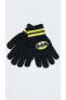 Фото #1 товара Детские теплые перчатки Batman LC Waikiki