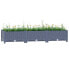 Фото #3 товара Raised Bed 47.2"x15.7"x9.1" Polypropylene