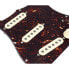 Фото #5 товара Mojotone 67 Q.Coil Hot Br. Pickguard TT