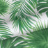 Фото #5 товара Tapete tropische Blätter